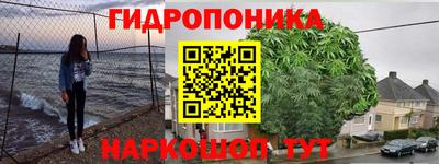 тгк Сланцы