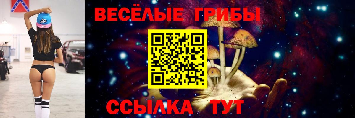 Псилоцибиновые грибы Psilocybe  Вход с VPN  Псилоцибиновые грибы Cubensis  Элиста 